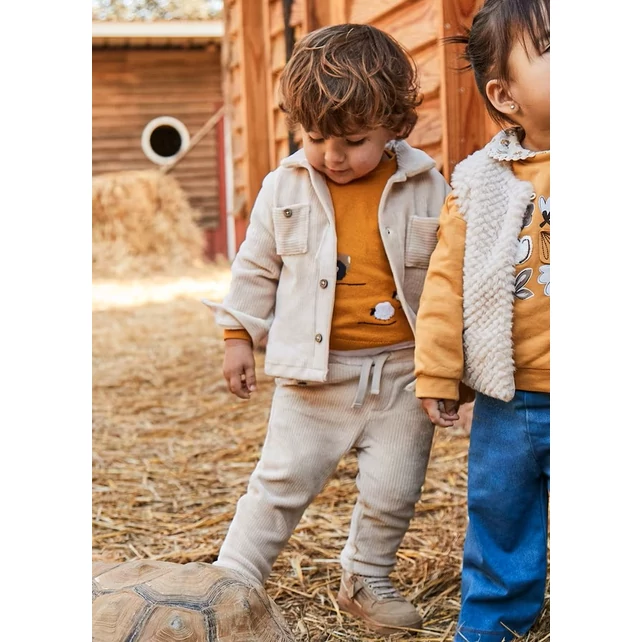 Mayoral puha kord gombos ing 2025 TÉL